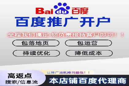 百度竞价广告运营全解析：成功案例揭秘